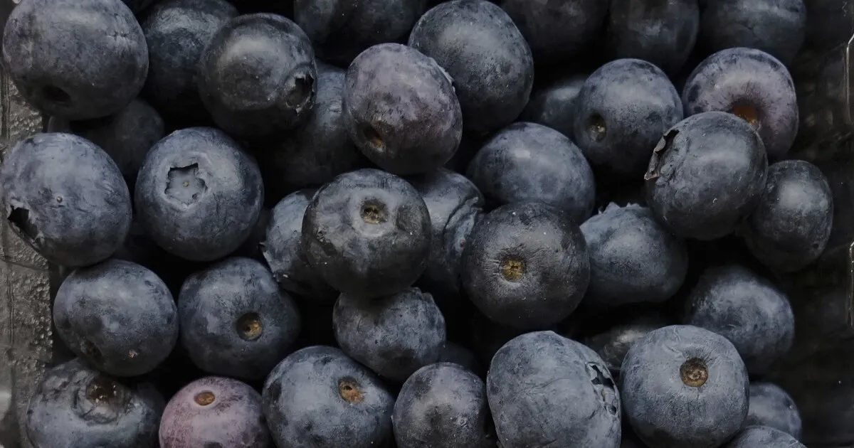 Ягоды в Мичигане выдержали морозы, но погода становится нестабильной