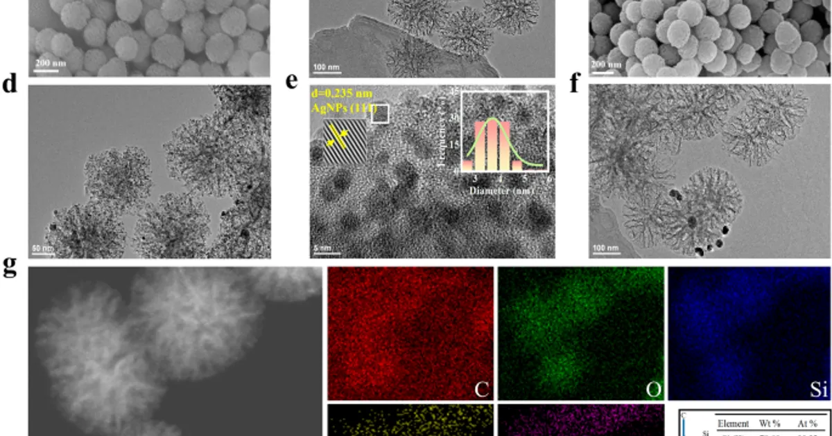 Нано-фунгицид против Botrytis cinerea: эффективность и механизмы