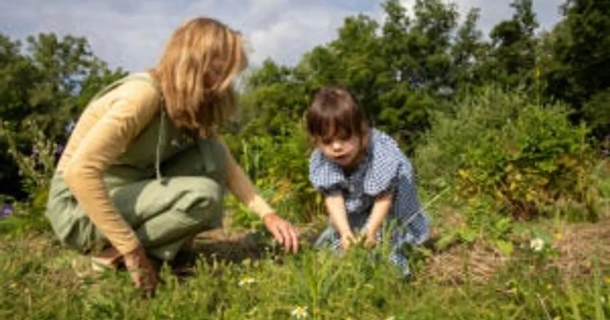 ADM и American Farmland Trust запустили инициативу для фермеров на $500 тыс.