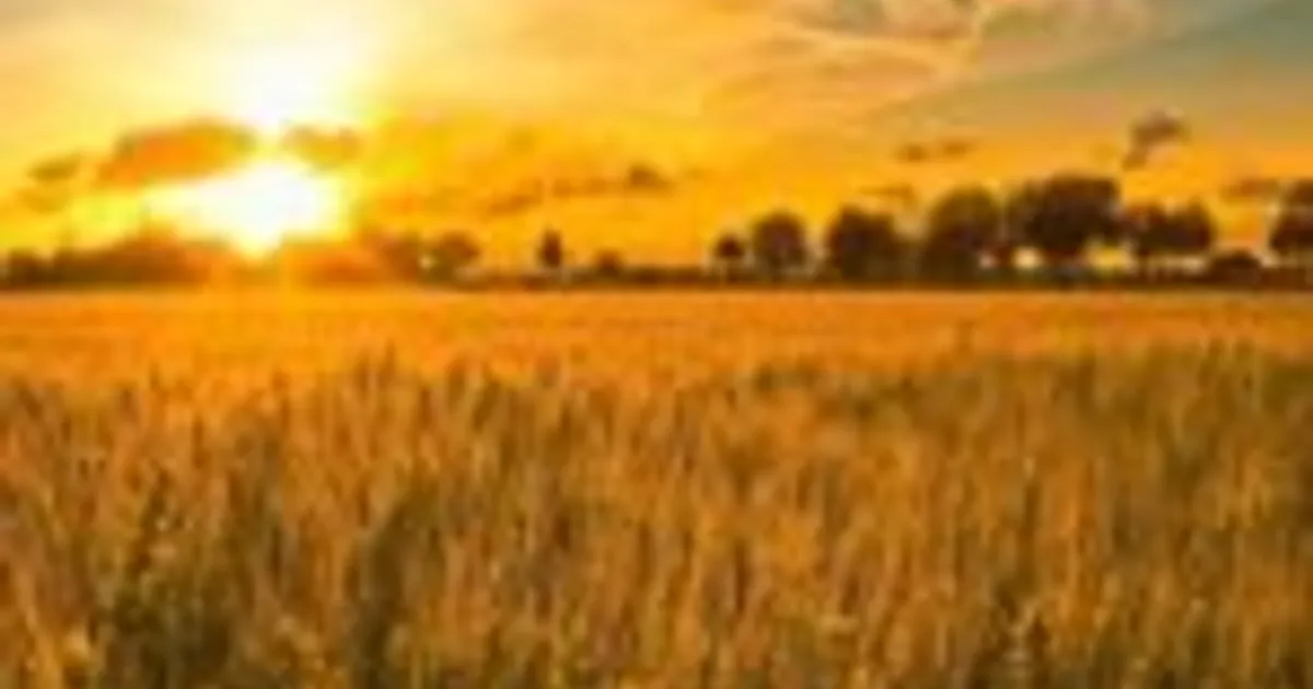 Аграрная инновация — не конфликт, а сотрудничество