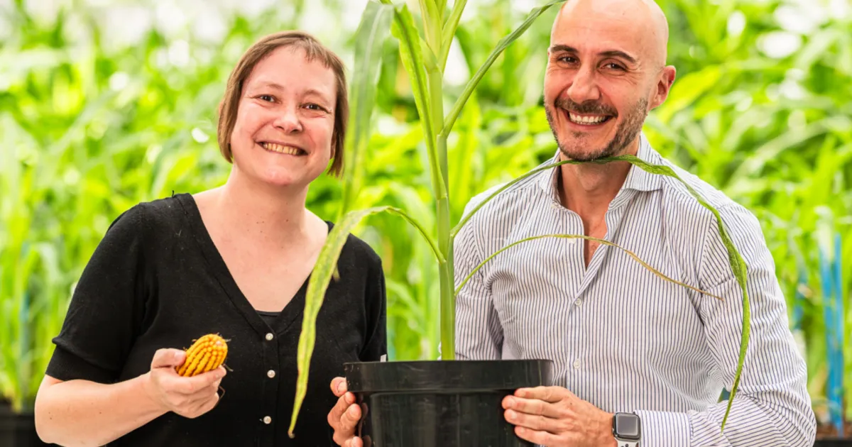 Крупнейшие сделки и тренды в AgTech: TARGAN, Syngenta, AeroFarms