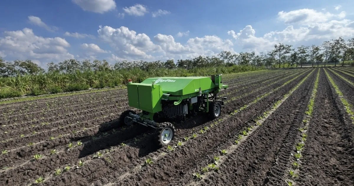 Роботы AgriPass: точное удаление сорняков с помощью ИИ