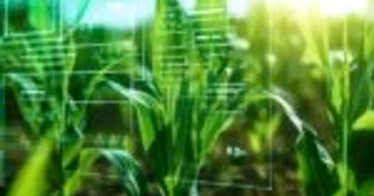 Искусственный интеллект ускоряет развитие гербицидов