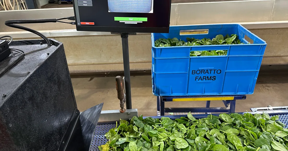 Как ИИ снижает субъективность в цепочке поставок