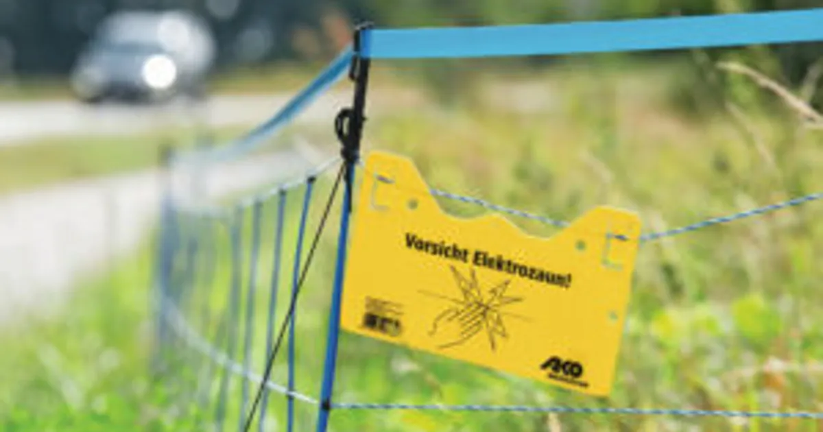 АЧС в Германии: пик заражений кабанов в марте в NRW