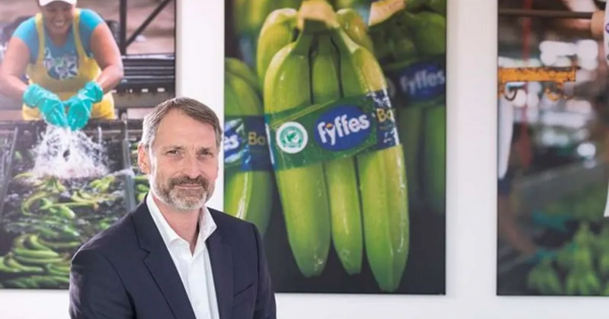 Фермеры из Ирландии запустили бренд экологичных бананов в Норвегии