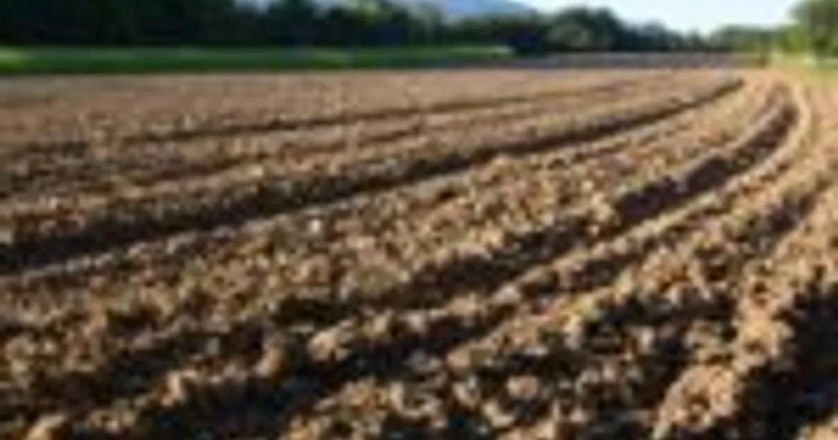 Новое средство для улучшения эффективности удобрений и пестицидов