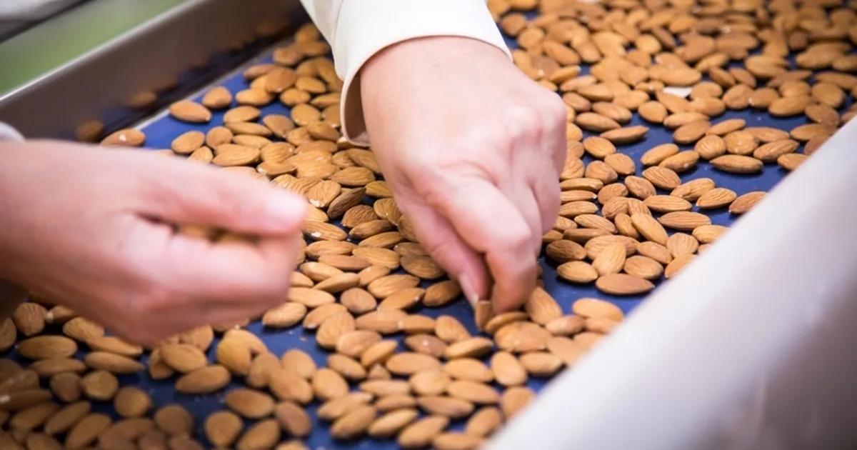 Алмазные орехи: снижение продаж в январе