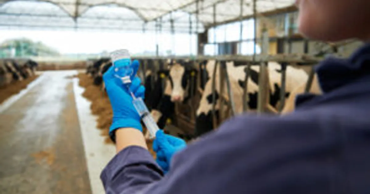 Бельгия отложила запрет на вакцинацию против ИБР