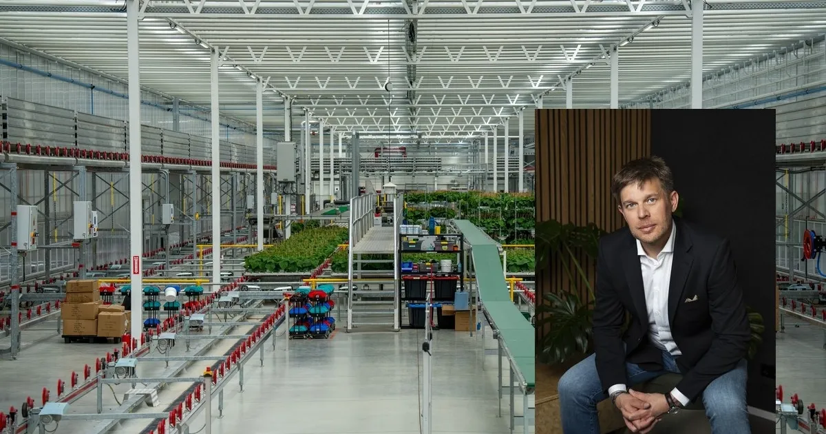 Создание инфраструктуры для выращивания рассады в CEA