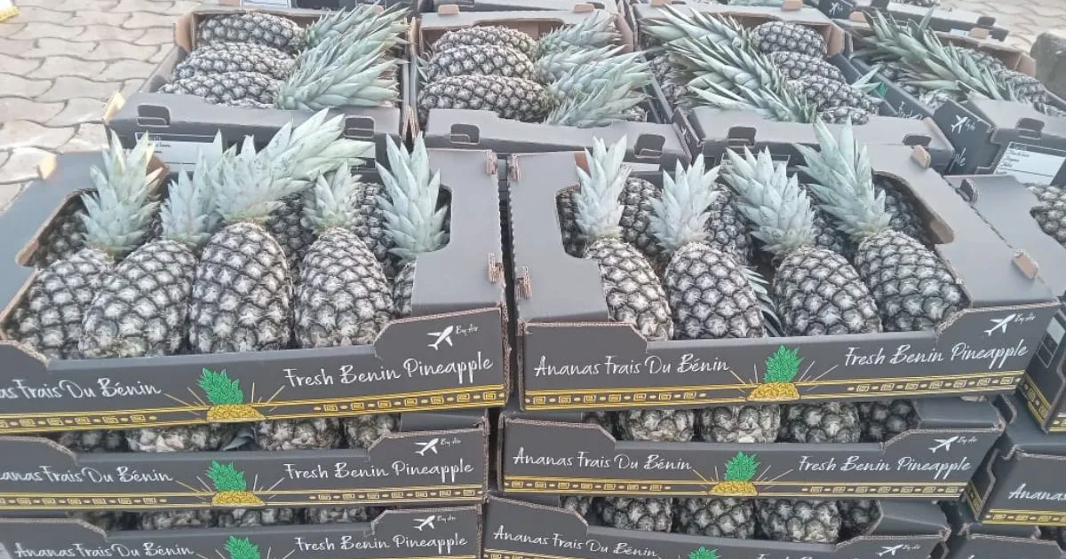 Активный сезон для бенинских ананасов