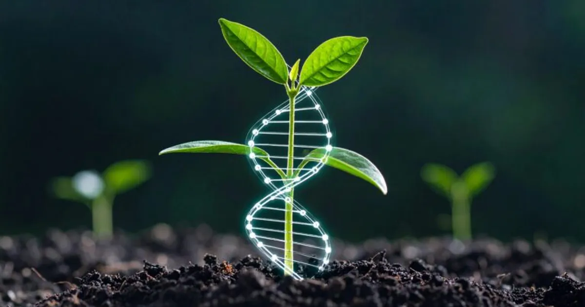 Чили оценивает новые методы улучшения генетики растений