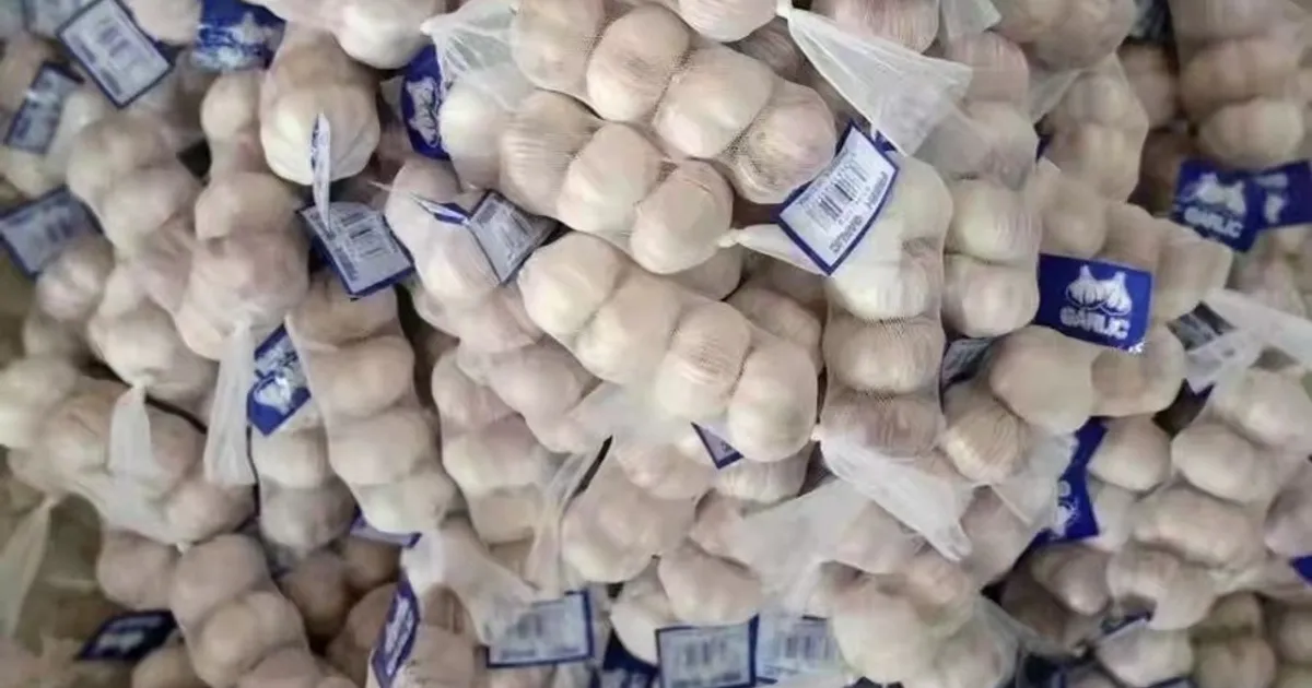 Рынок экспорта чеснока: новые вызовы для китайских производителей