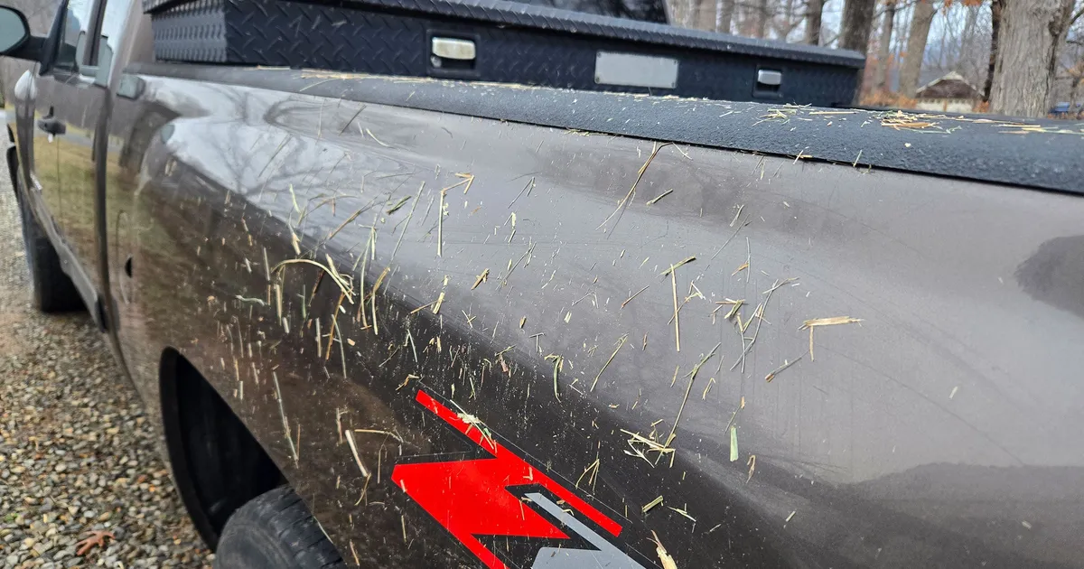 Тимоти везде: как избавиться от сенной пыли