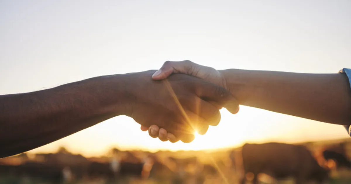 Новая коллаборация: геномный анализ, регуляторные исследования и полевые испытания