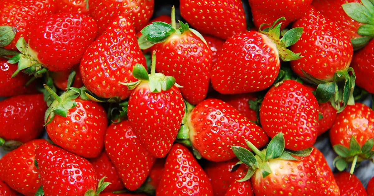 В Коста-Рике обнаружили опасный гриб на клубнике