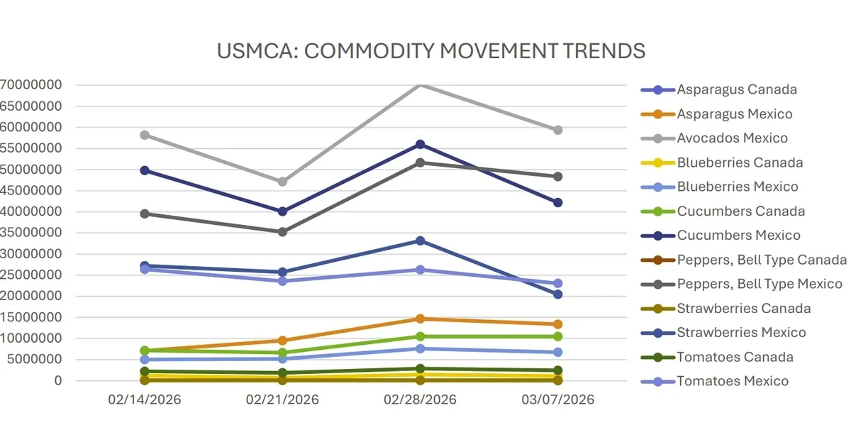 Цены на огурцы и сладкий перец растут, клубника и помидоры падают
