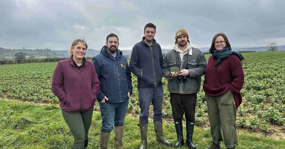 Технология мониторинга экосистемы по звукам птиц