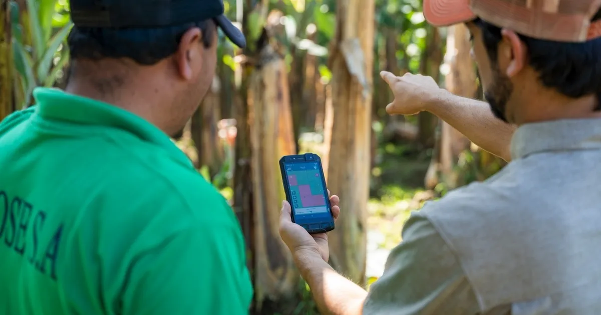 Фермы Digital выставятся на выставках в Америке в 2026 году