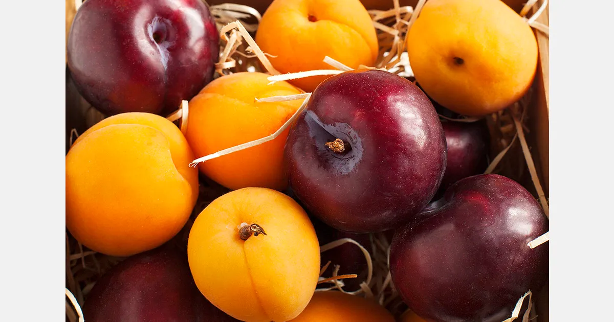 ЕАЭС ввел временные льготы на импорт определенных фруктов