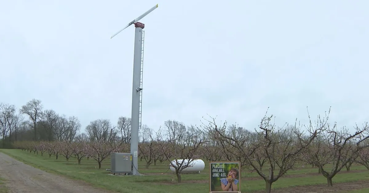 Орхидея Эккерта инвестирует в вентилятор от заморозков