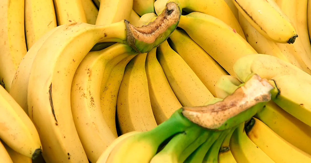 Экспортеры бананов из Эквадора и Индии сталкиваются с проблемами из-за конфликта в Средиземноморье