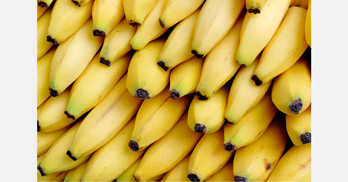 Экспорт бананов из Мьянмы в Китай упал до 157 тысяч тонн