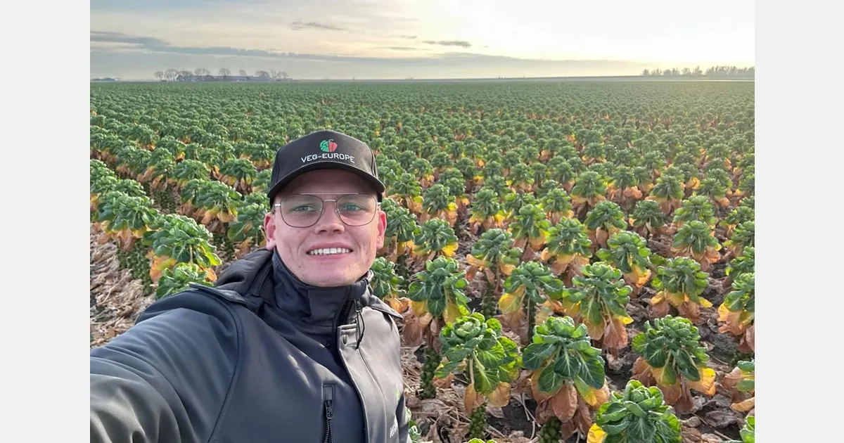 Экспорт овощей Veg-Europe: компания расширяет поставки по Европе