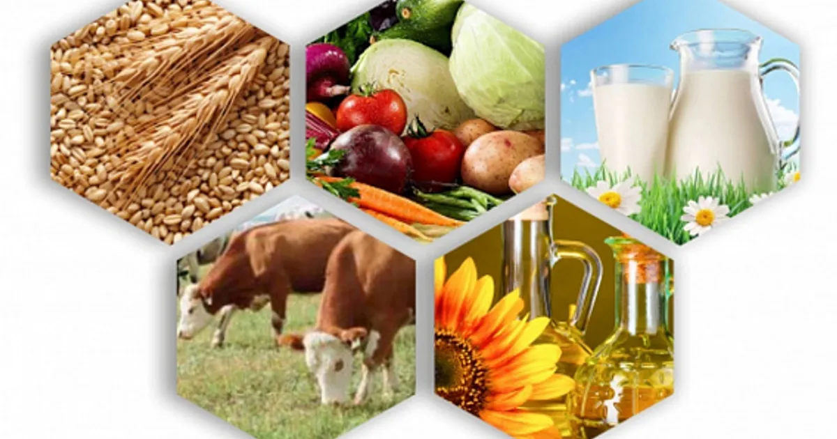 Экспорт переработанной продукции с Дона вырос на 25%