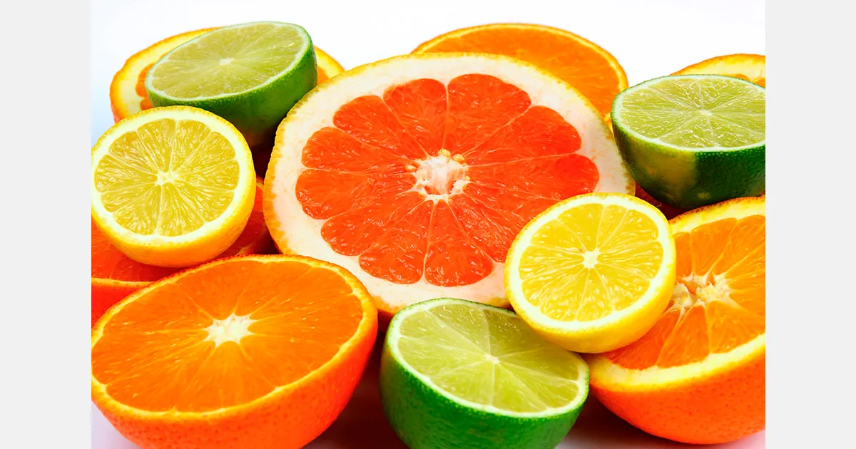 Экспорт цитрусовых: Панама открыла рынок для Египта