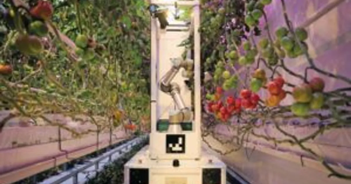 Робот для сбора томатов: первый автономный продукт Eternal.ag