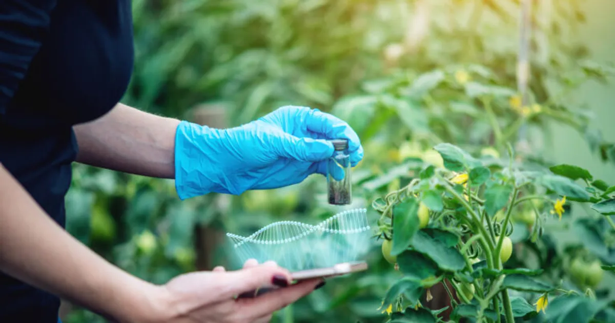 ЕС принял регламент NGT: CRISPR-редактирование выходит из тени ГМО