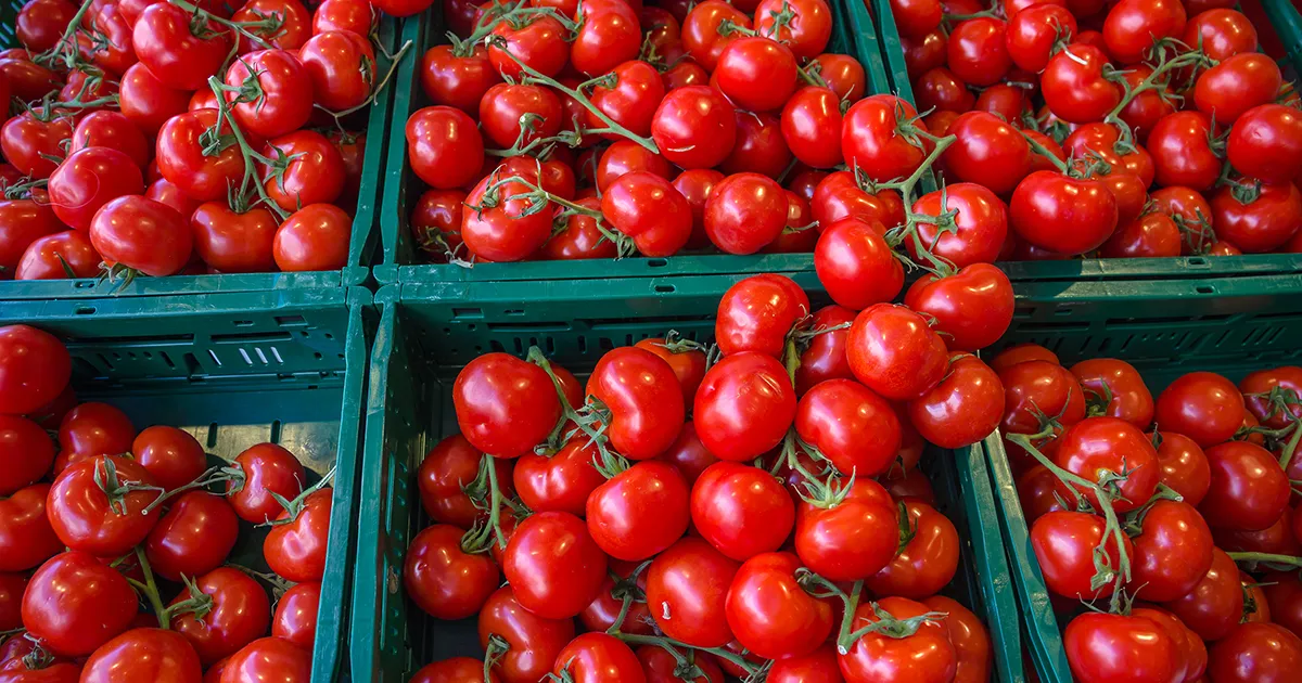 Эмбарго на экспорт томатов: уроки из Буркина-Фасо