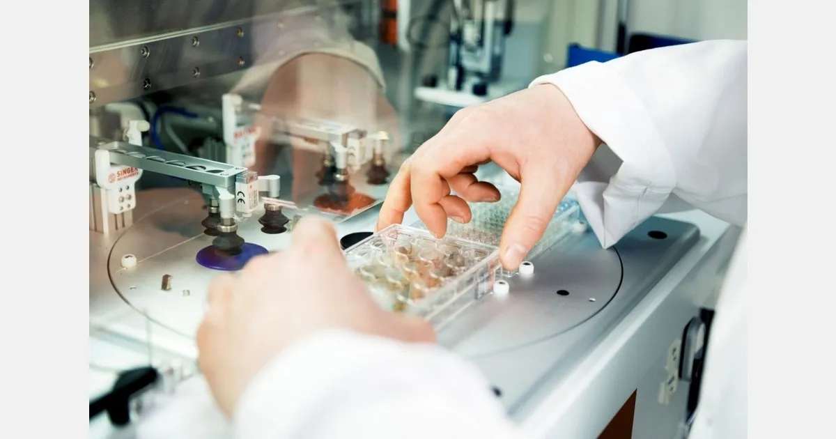 Фитофтора картофеля: датский стартап привлёк €2,4 млн на биоконтроль