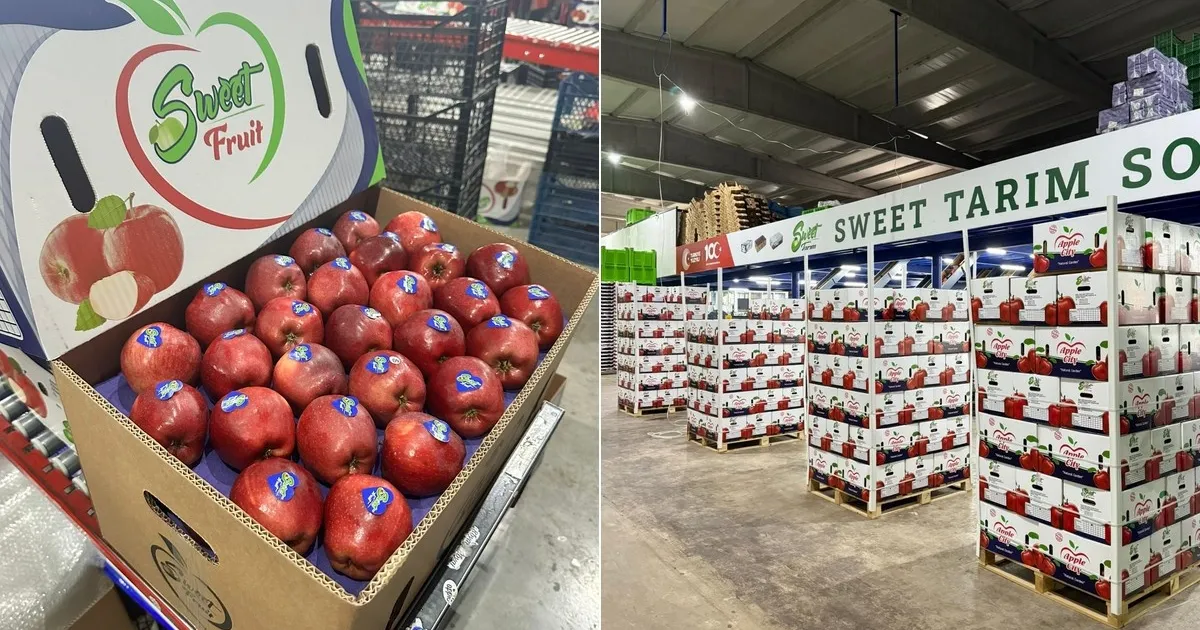 Турецкие яблоки: сложности экспорта и уроки для России