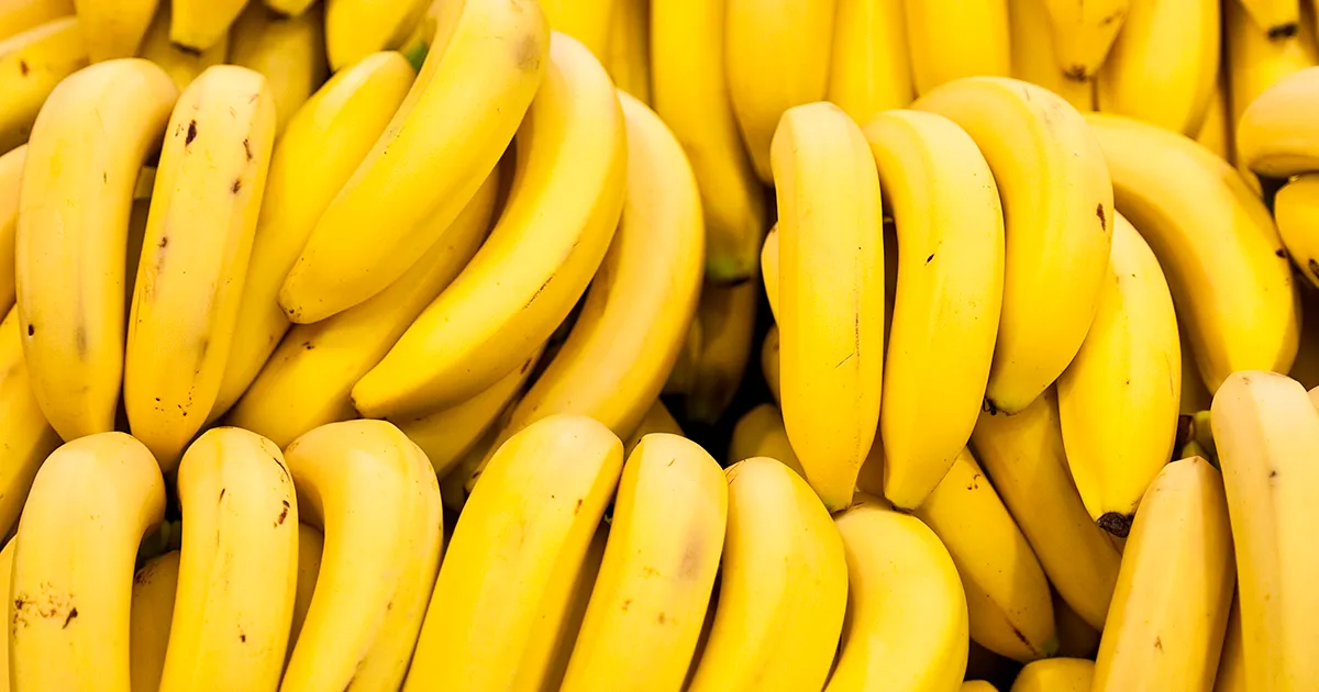 Фузариум TR4 угрожает банановой культуре Венесуэлы