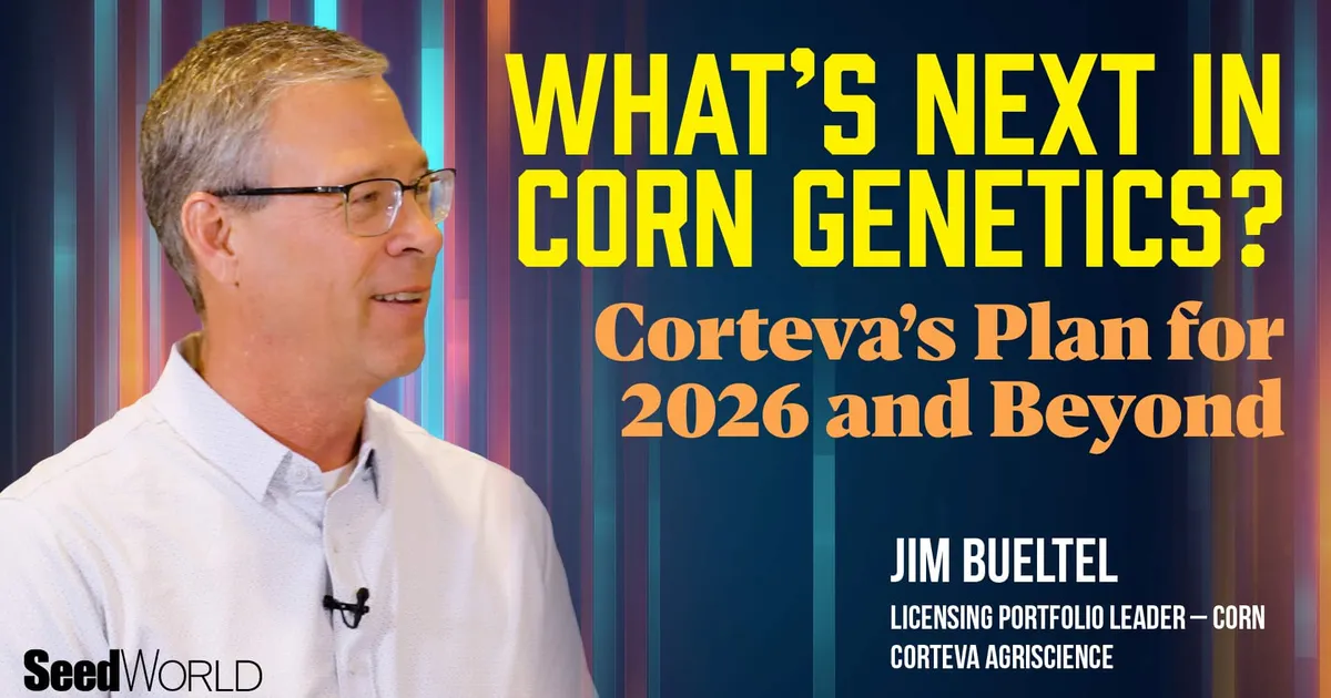 Генетика кукурузы: планы Corteva на 2026 год и далее