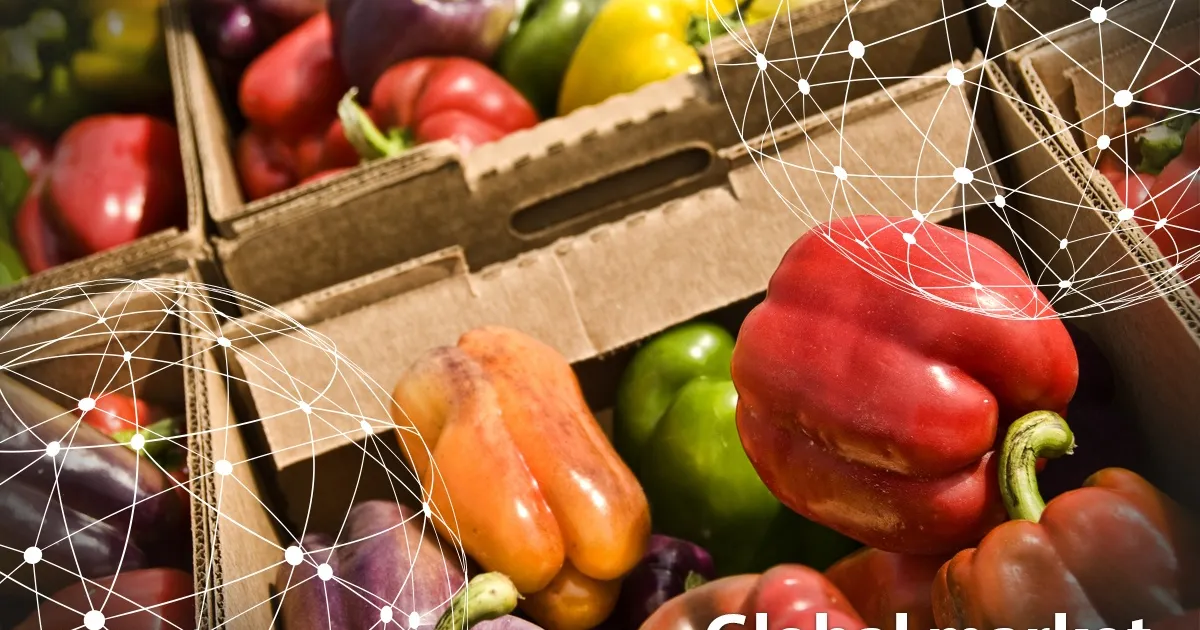 Обзор мирового рынка сладкого перца