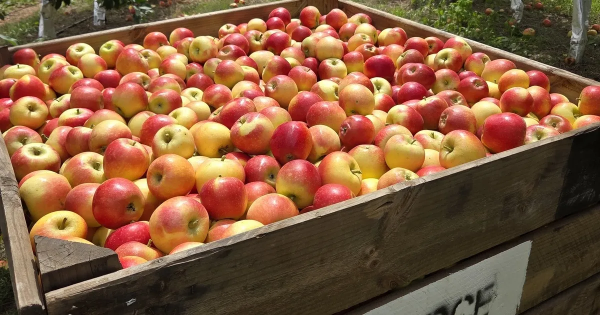 HBMA назначила Роберта Томпсона в совет директоров