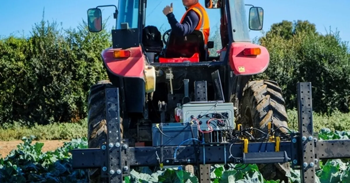 Влияние событий на Ближнем Востоке на топливо и удобрения