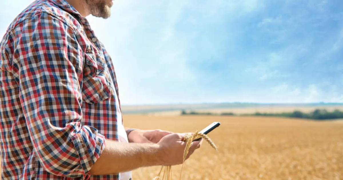 Как разрозненные системы увеличивают риски для семенных компаний