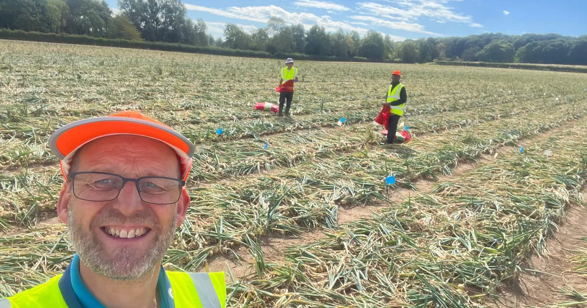 Как обмен данными повышает доходы фермеров и продбезопасность