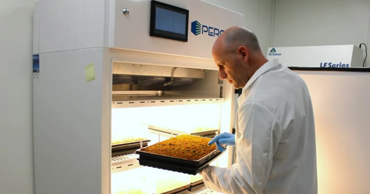 Как подготовить урожай к успеху: ключевые решения