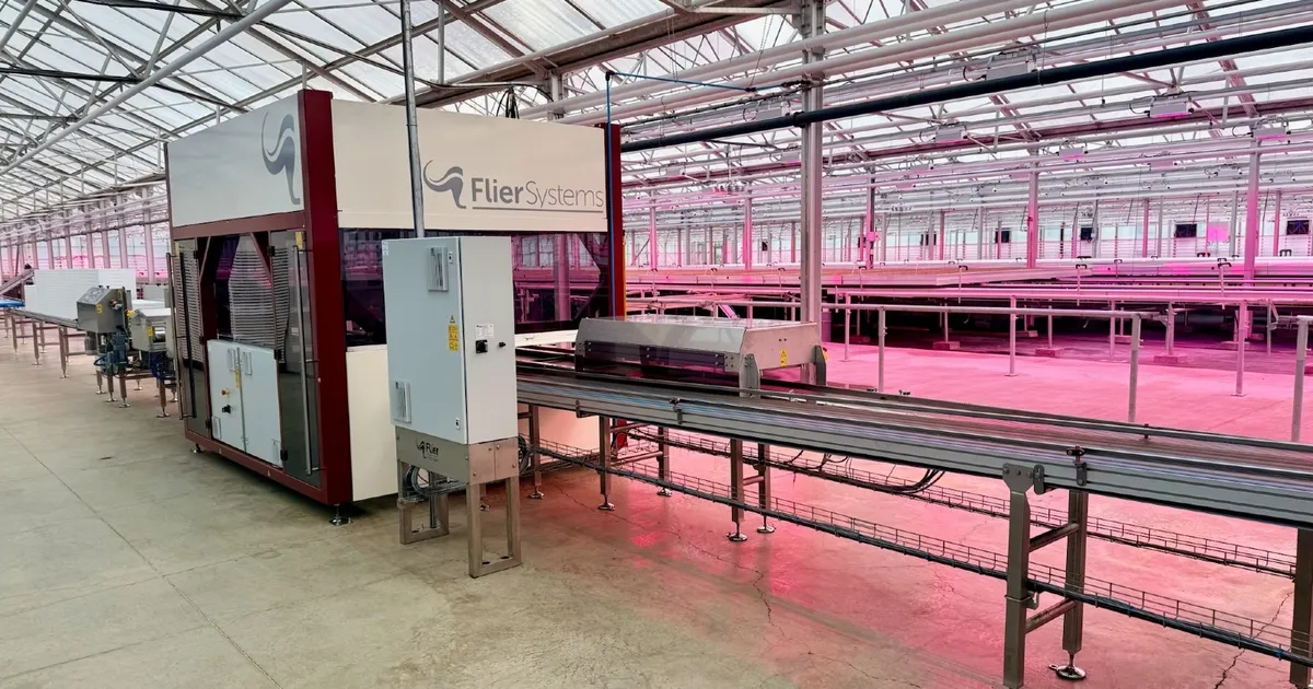 Конкуренция тепличного салата с полевым: новый подход