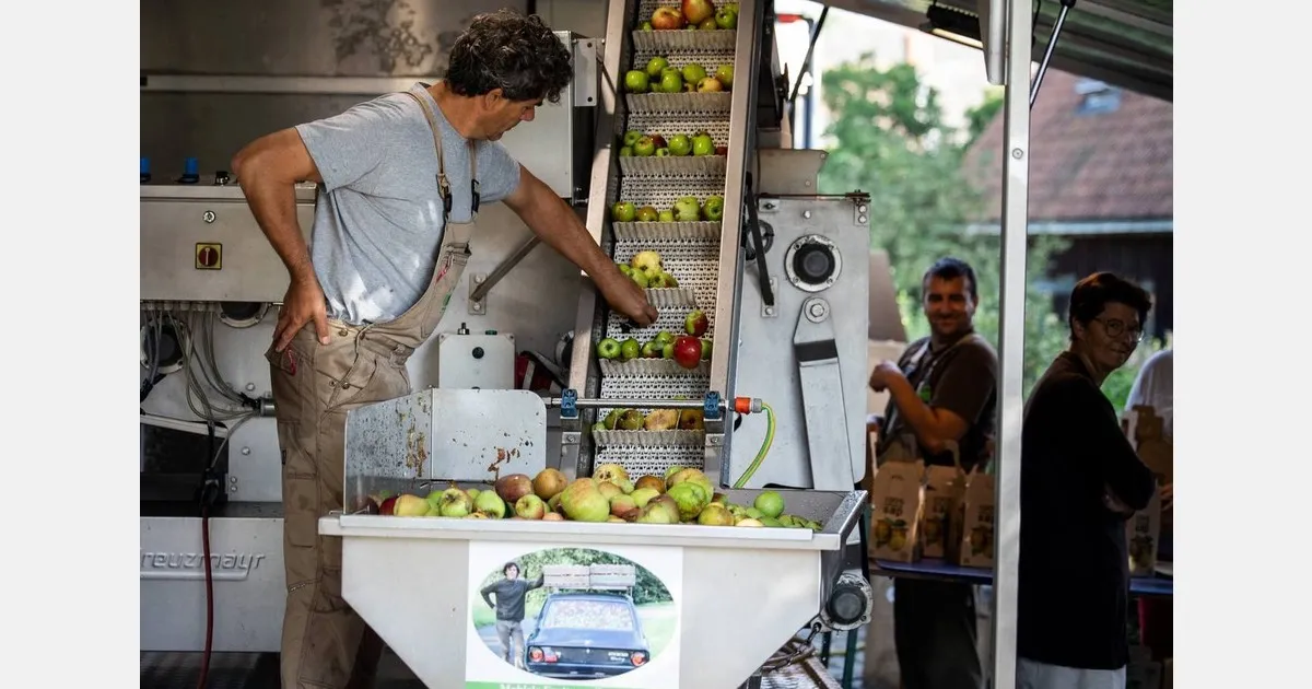 Игристый яблочный сок: Lerouge выводит на рынок новые сидры