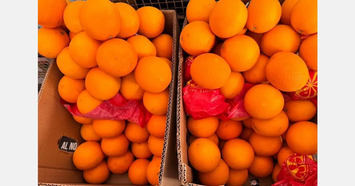 Импорт египетских цитрусов в Индию падает, цены растут