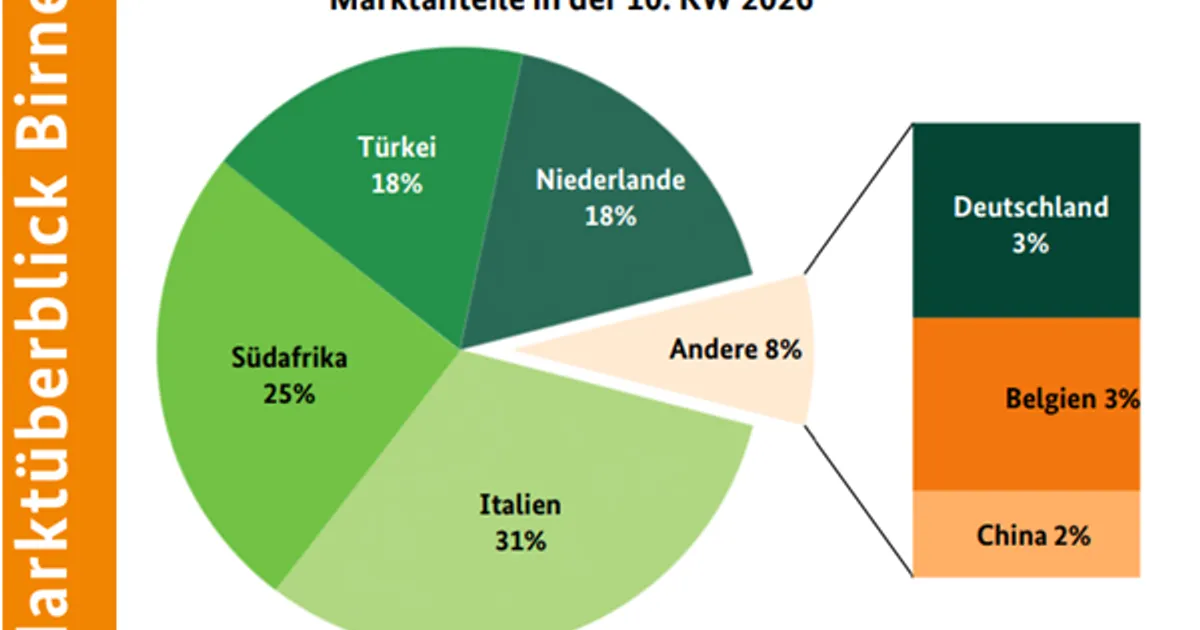 Рост импорта южноафриканских яблок давит на цены в Европе