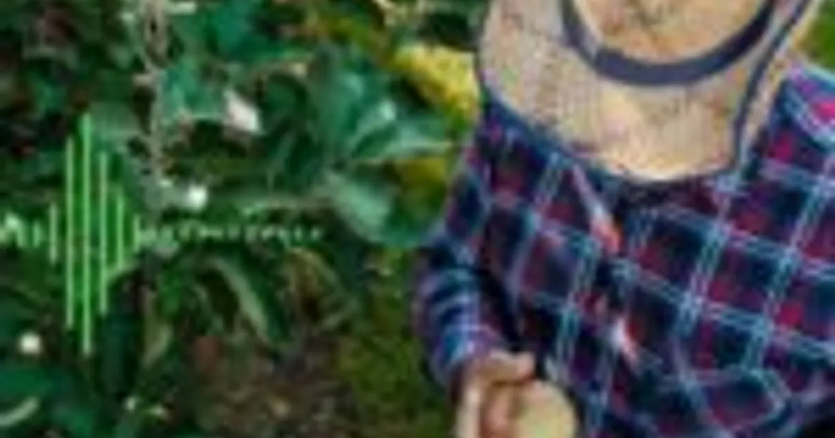 HarvestReplay: умный сервис для аграриев