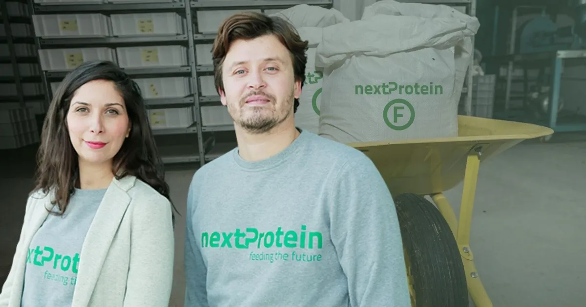 Индустрия насекомых: вызовы и перспективы развития