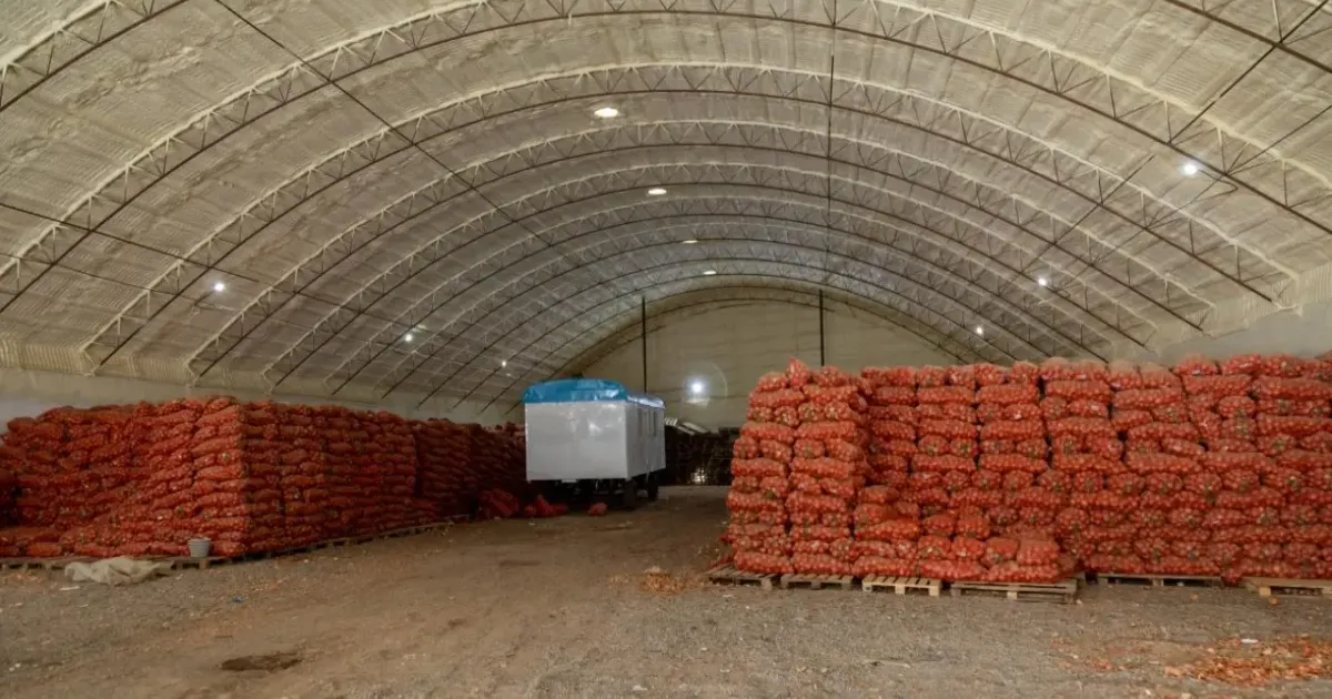 Казахстанские фермеры не могут продать урожай лука даже по минимальной цене - informburo.kz